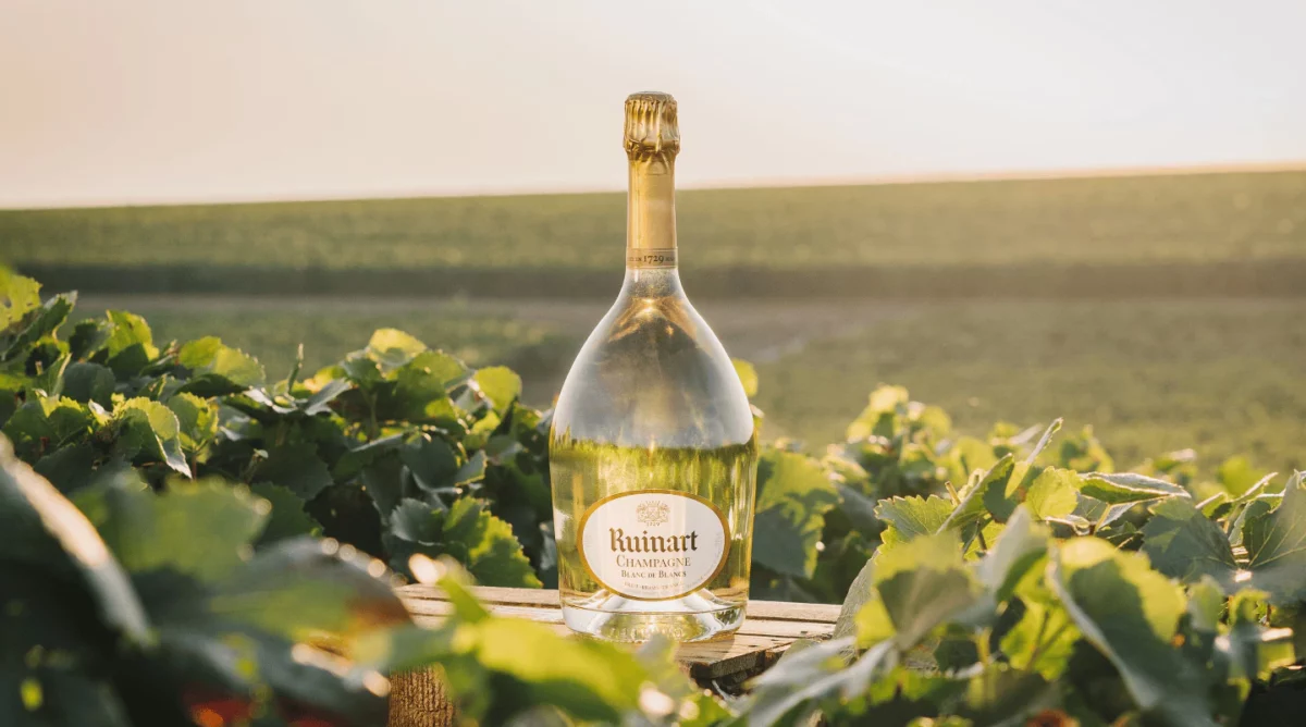 Ruinart Blanc de blancs 75cl – Image 3